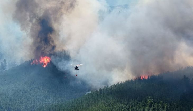 Equipos del Plan Nacional de Manejo del Fuego y de la brigada provincial trabajan abriendo cortafuegos y caminos para frenar el avance del incendio.