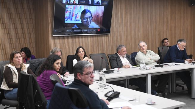 Especialistas en patrimonio histórico disertaron en la Cámara de Diputados.