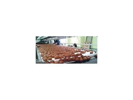 La producción de kiwi en la Argentina se concentra en Baradero, La Plata, General Madariaga, General Pueyrredón y Balcarce.