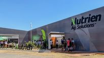 La empresa de fertilizantes busca comprador para sus activos locales.