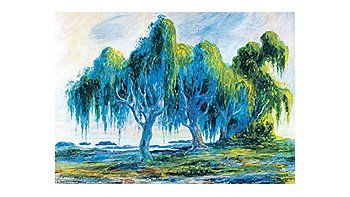 ámbito.com | La muestra del Museo de Bellas Artes reúne óleos, acuarelas ydibujos-tinta de Martín Malharro (1865-1911), considerado el introductordel impresionismo en el arte argentino.