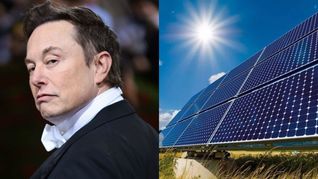 Elon Musk destacó la capacidad de China para producir paneles solares suficientes para abastecer toda la demanda eléctrica de EEUU. Elon Musk destacó la capacidad de China para producir paneles solares suficientes para abastecer toda la demanda eléctrica de EEUU.