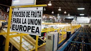 Una porción importante del limón que se produce en el NOA se destina a la Unión Europea. Una porción importante del limón que se produce en el NOA se destina a la Unión Europea.