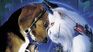 What it's about Like Cats and Dogs, one of the most entertaining movies on the platform. What it's about Like Cats and Dogs, one of the most entertaining movies on the platform.