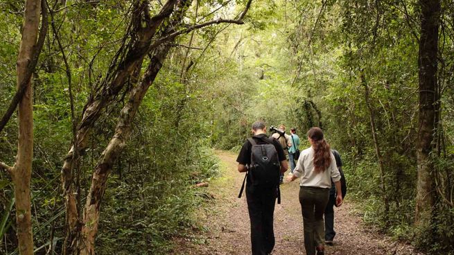 Se acercan las vacaciones 2025 y el Chaco es un de los atractivos predominantes con los que cuenta el turismo de Argentina