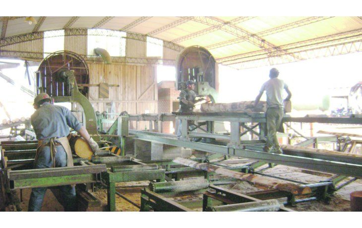Alcance. La producción forestal, una de las actividades beneficiadas por los acuerdos con el Consejo Federal de Inversiones.