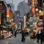 Japón atrae cada vez a más turistas argentinos. Japón atrae cada vez a más turistas argentinos.
