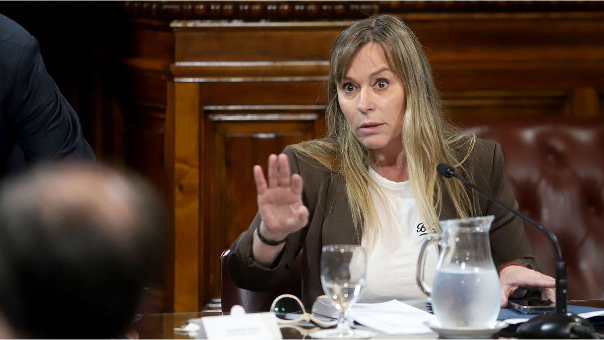 La senadora Juliana Di Tullio denunci a trolls libertarios por incitacin a la violencia