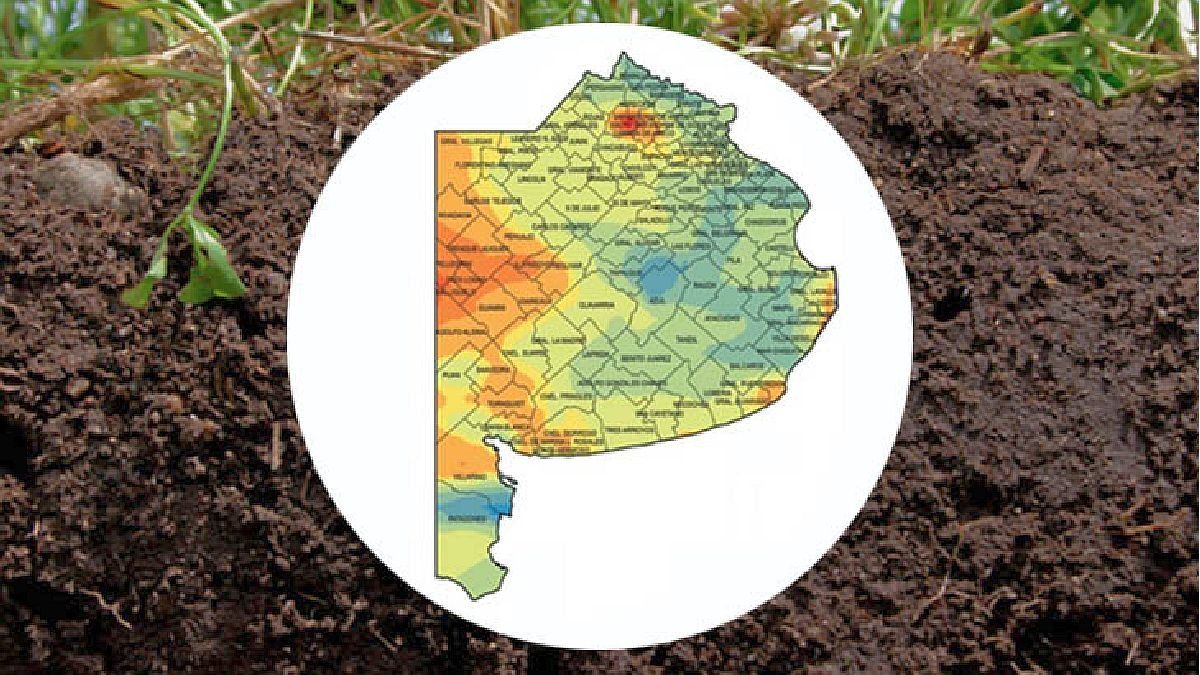 The Pending Challenge Of The Buenos Aires Municipalities With Climate   Provincia Buenos Aires Cambio Climaticojpg 