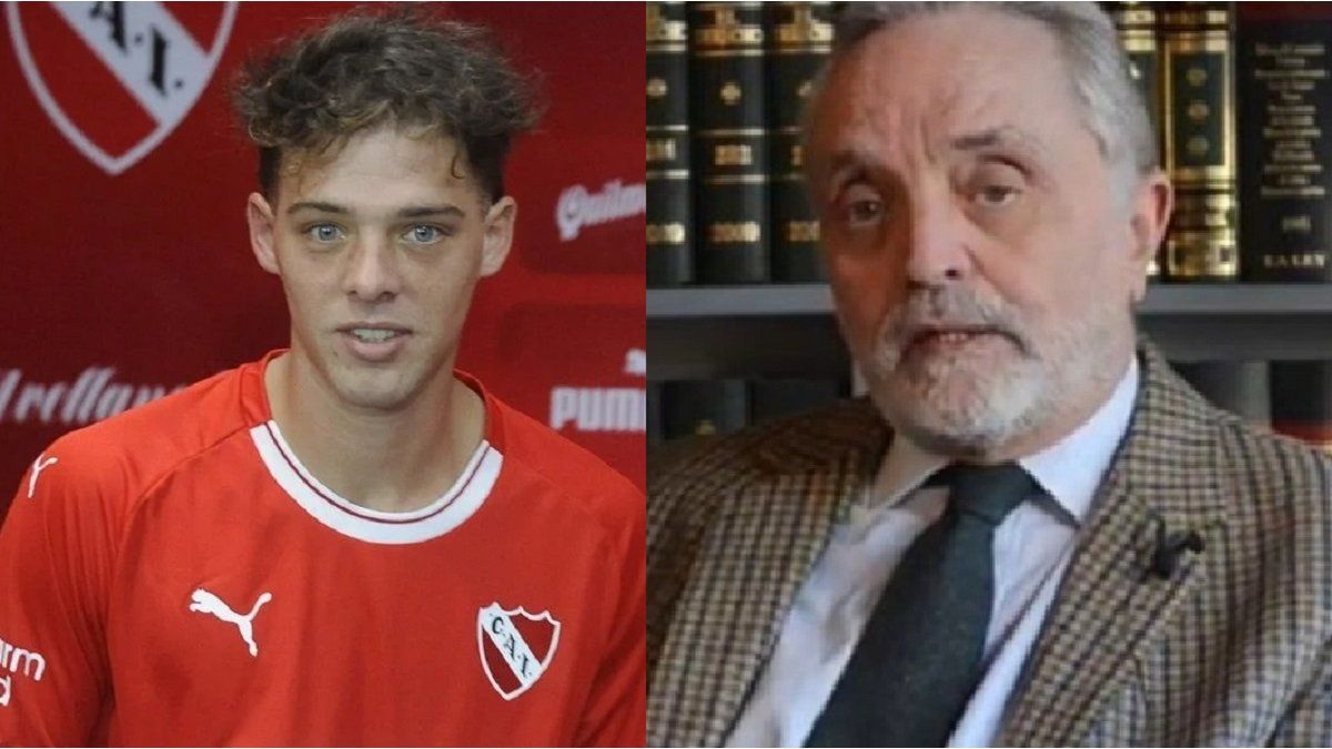 For the head of the IGJ, the Maratea trust looks like “the Panama Papers”