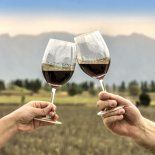 Con exportaciones en recuperación y un consumidor cada vez más exigente, referentes de la industria analizan los desafíos y oportunidades que enfrenta el vino argentino para consolidar su crecimiento. Con exportaciones en recuperación y un consumidor cada vez más exigente, referentes de la industria analizan los desafíos y oportunidades que enfrenta el vino argentino para consolidar su crecimiento.