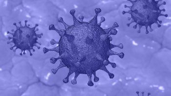 una nueva cepa del coronavirus pone en alerta al mundo: que se sabe de la mutacion n5017