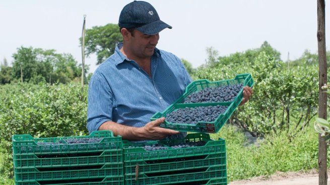 Producers, central protagonists of a clean and sustainable countryside