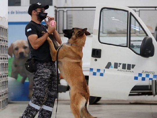 Cuando la DGA obtenga la certificación de “Centro regional de adiestramiento canino”, la OMA podrá utilizar esas instalaciones para brindar adiestramiento regional a guías y canes detectores.