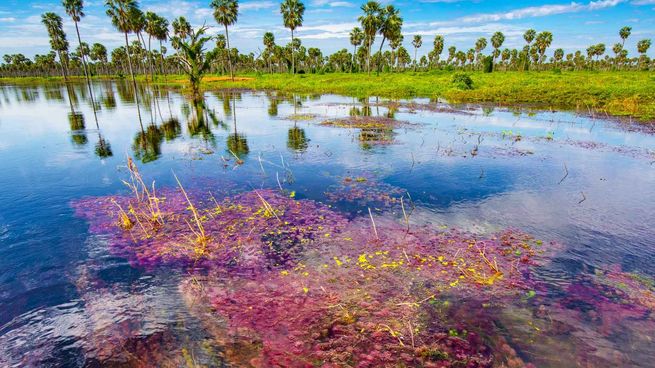 Este lugar mágico ubicado en el norte del país es ideal para quienes buscan una experiencia de turismo ecológico.&nbsp;