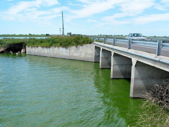Emiten un alerta por riesgo de intoxicación con cianobacterias en una laguna bonaerense.