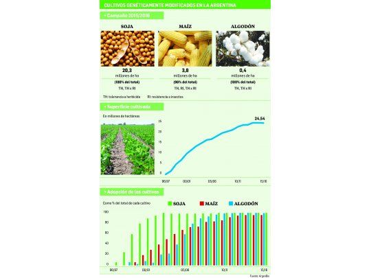 ¿Apagón tecnológico?