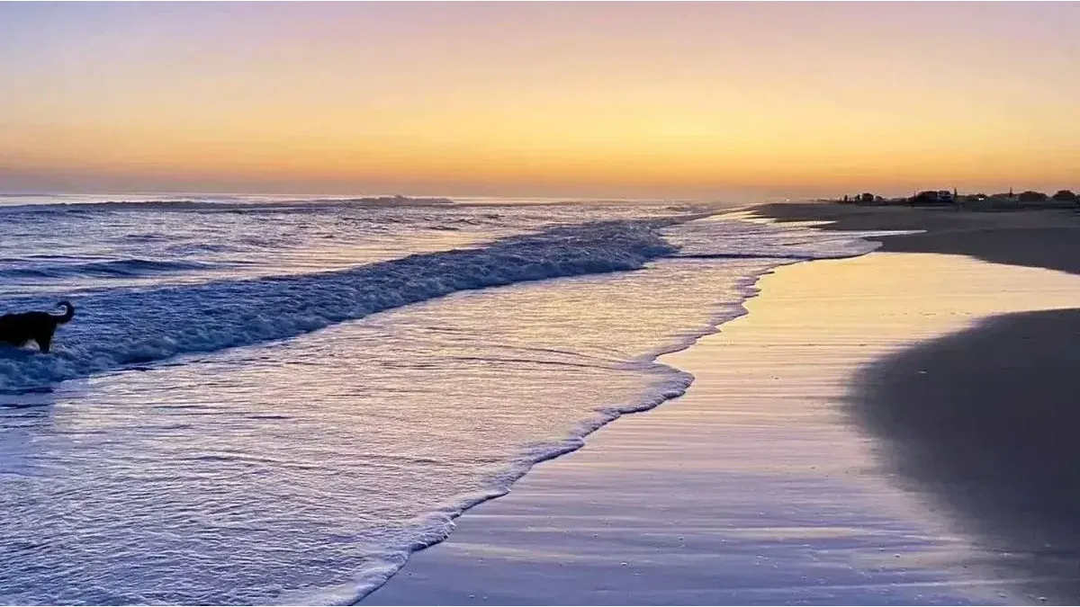 Quiet beaches surrounded by forests: two perfect destinations for a weekend getaway