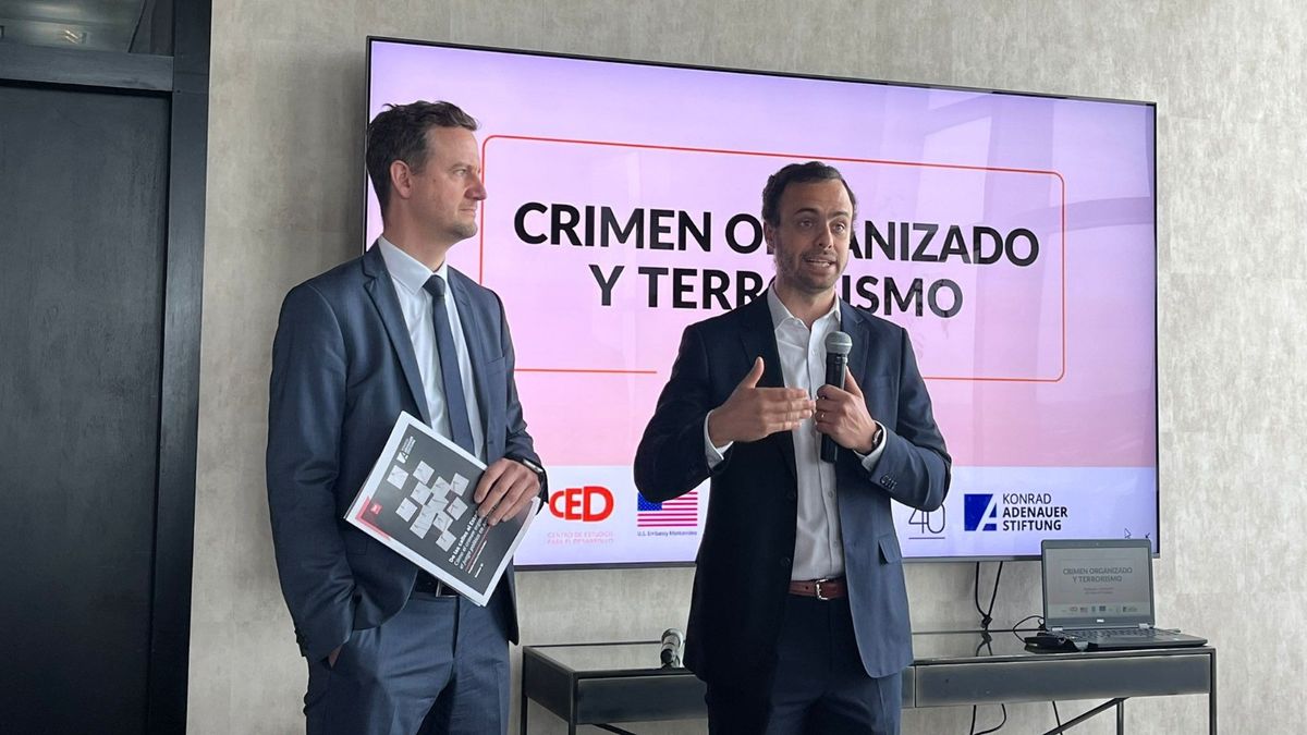 ¿Cómo impacta el crimen organizado y el terrorismo en América Latina y ...