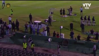 Insólito: la copa para el campeón uruguayo cayó en el foso del estadio Centenario
