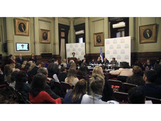 Aborto legal: el exministro Gollán y una joven con síndrome de down expusieron en Senado