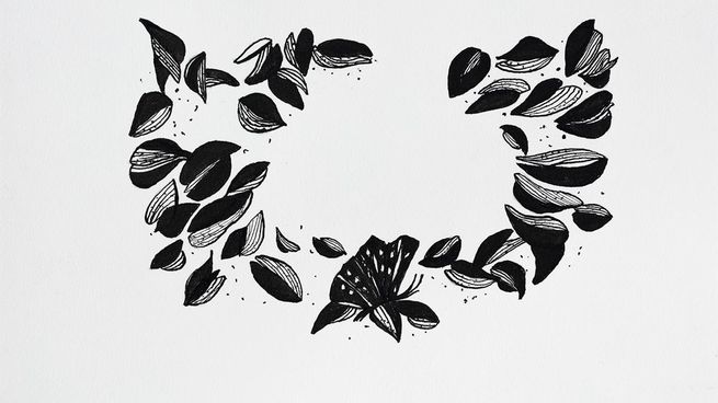 Olga Autunno: so that nature is not a dead thing
