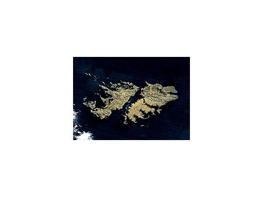Malvinas: ¿islas de la fantasía?