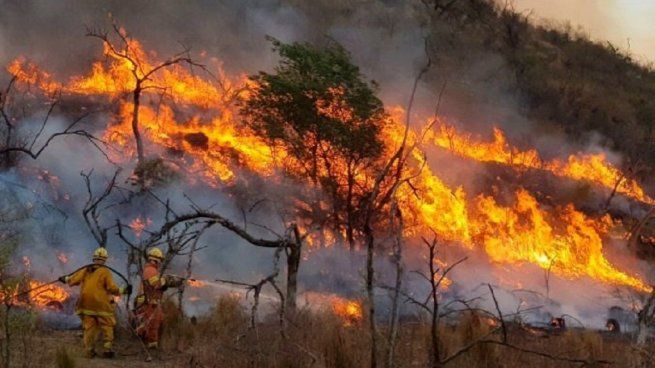 Fuertes incendios forestales afectan a Córdoba.
