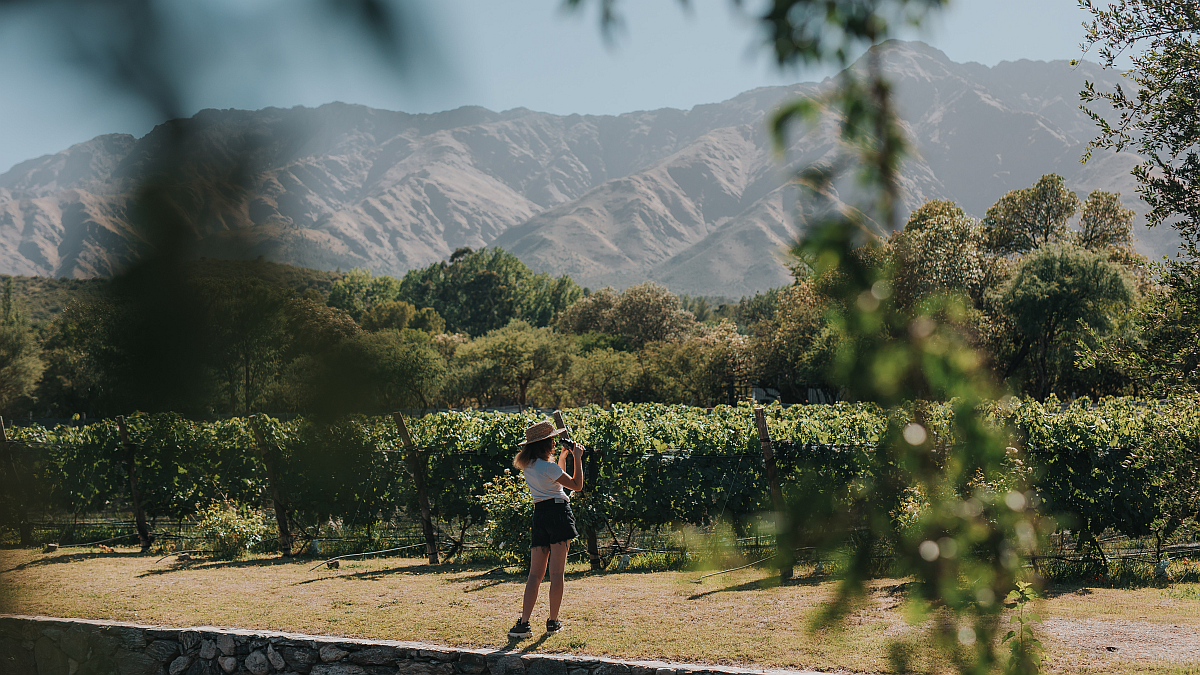 Wine tourism in Córdoba: all the details of wine tourism in the mountains