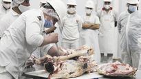 clases. Las clases prácticas tendrán lugar en el Parque Tecnológico Miguelete del Instituto Nacional de Tecnología Industrial, en aulas de la Facultad de Veterinaria de la UBA y en frigoríficos.