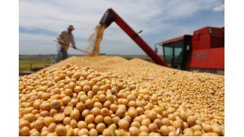La soja subió casi 0,8% a u$s 349,98