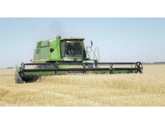 Trigo. La cosecha está en marcha en la Argentina. Hasta el 21 de noviembre deben embarcarse 431 mil toneladas del cereal.