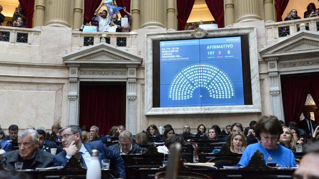 Acompañantes terapéuticos celebraron la media sanción de la ley que profesionaliza su especialidad.