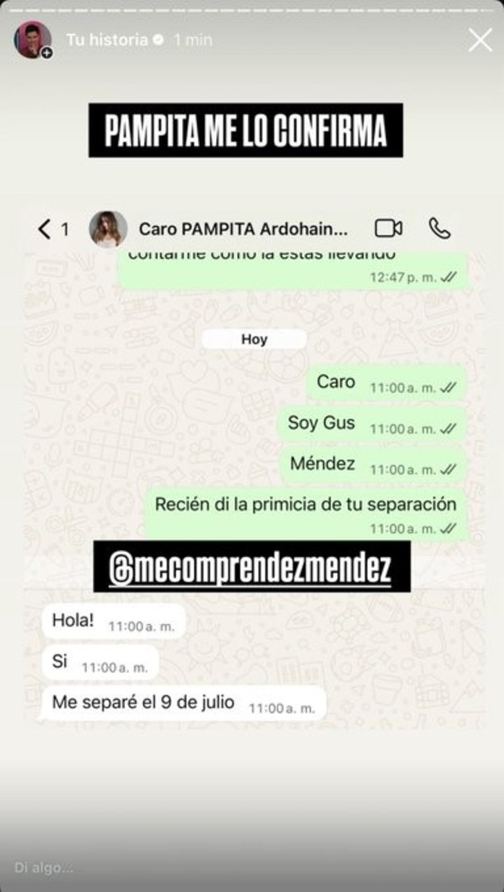 The romance was over: Pampita Ardohain confirmed her separation from Martín Pepa The romance was over: Pampita Ardohain confirmed her separation from Martín Pepa