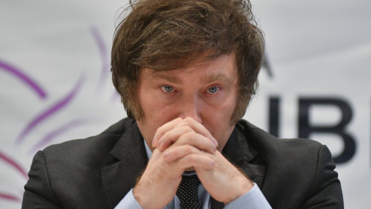 They denounce Javier Milei before the Professional Council of Economic Sciences