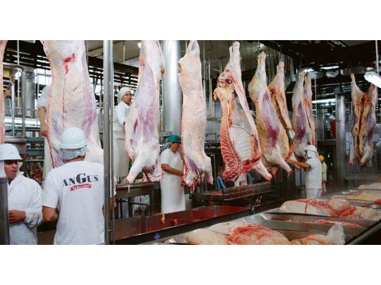 Cuota Hilton: grupos brasileños y Braun, los más beneficiados