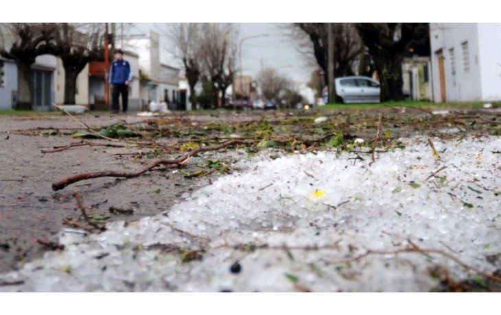 Fuerte temporal causó destrozos y caída de árboles en La Plata