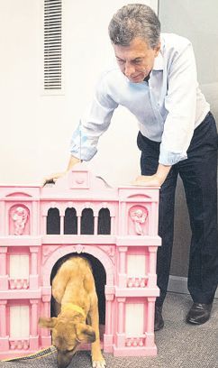 Macri parece obsesionado en su intento por ser presidente. Su perro se llama Balcarce y le regalaron una cucha con forma de Casa de Gobierno.