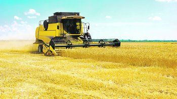 El productor argentino deberá estar muy al tanto de los cambios que puedan producirse, ya que su rentabilidad dependerá en gran parte de ello.