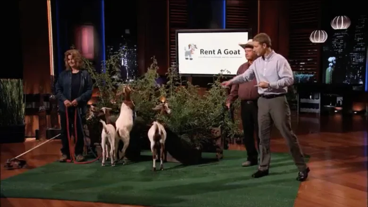 Cuando fundaron Rent A Goat, Mike Canaday y Matt Richmond, tenían como objetivo ayudar al medio ambiente sin imaginar que su invento le generaría millones Cuando fundaron Rent A Goat, Mike Canaday y Matt Richmond, tenían como objetivo ayudar al medio ambiente sin imaginar que su invento le generaría millones
