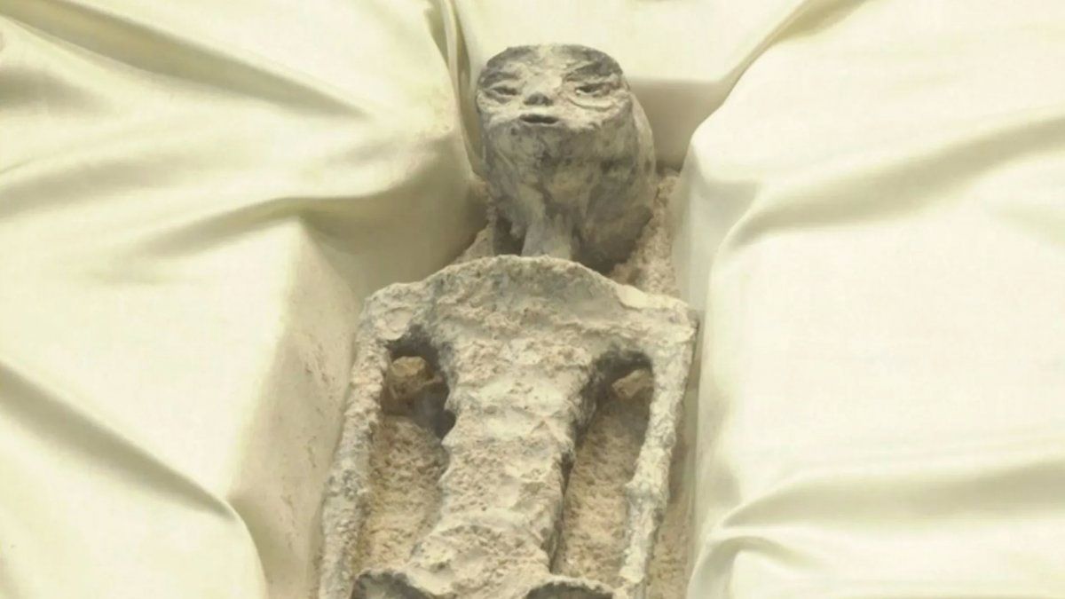 Experts assure that the extraterrestrial bodies presented in Mexico are false