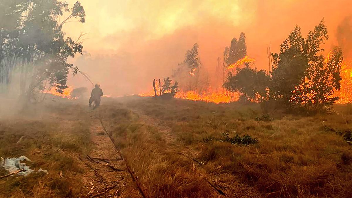 Red alert for risk of forest fires throughout the national territory