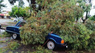 Temporal en Miramar: las impactantes imágenes de los destrozos causados por el viento y las intensas lluvias.