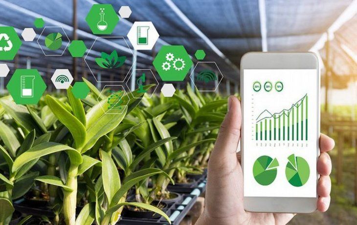 El vertical agtech es una de las categorías incluidas en la convocatoria del Premio a la Innovación con Impacto.
