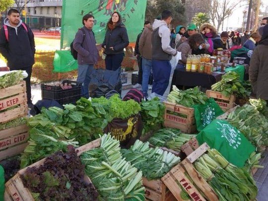 La Vía Campesina Argentina se manifestó en la Plaza de Mayo para reafirmar la soberanía alimentaria y agroecologia para alimentar al pueblo argentino.