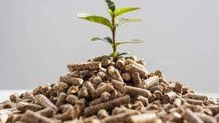 La inversión de la planta ronda los 9,3 millones de dólares. La inversión de la planta ronda los 9,3 millones de dólares.