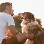 La razón de por que hablamos con las mascotas y qué dice la ciencia al respecto. La razón de por que hablamos con las mascotas y qué dice la ciencia al respecto.