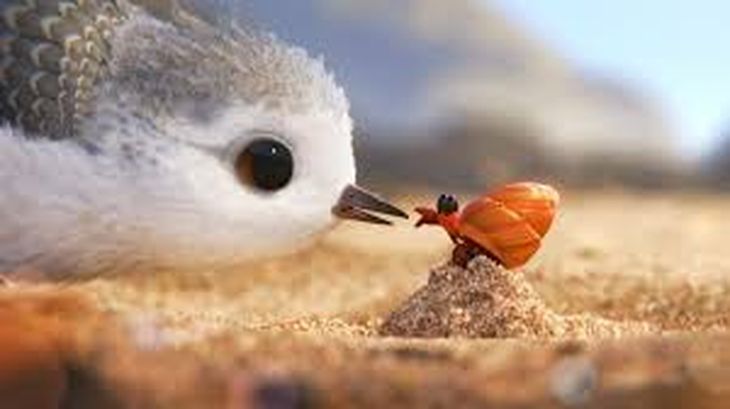 Piper, the cheerful little bird from the Pixar animated short. Piper, the cheerful little bird from the Pixar animated short.