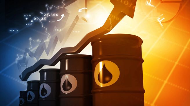 Arabia Saudita es uno de los principales productores y exportadores de petróleo del mundo, y los ataques contra su infraestructura, junto con la reactivación de los combates cerca del estrecho de Bab el-Mandeb, representan riesgos para el transporte marítimo y el abastecimiento de crudo.
