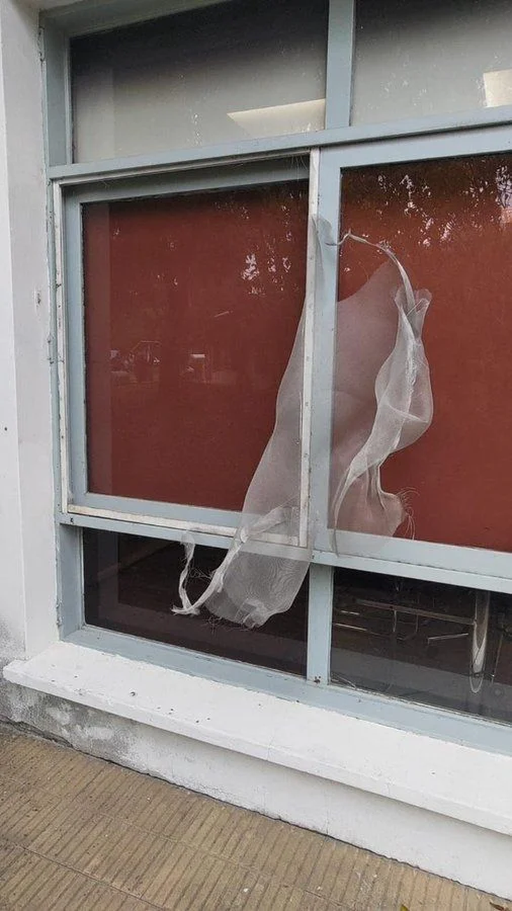 Así quedó la ventana luego de que el gerente de recursos humanos rompa el mosquitero y huya. Así quedó la ventana luego de que el gerente de recursos humanos rompa el mosquitero y huya.